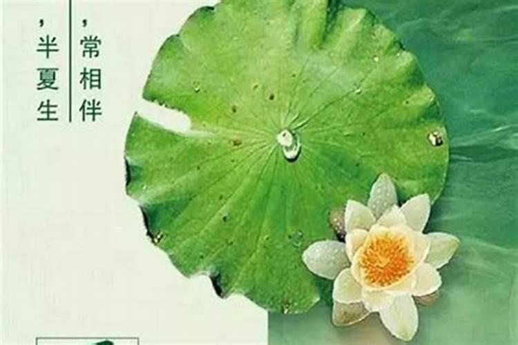 初五出生女孩是娘娘命