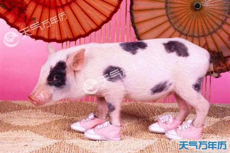 属蛇的本命年戴什么好