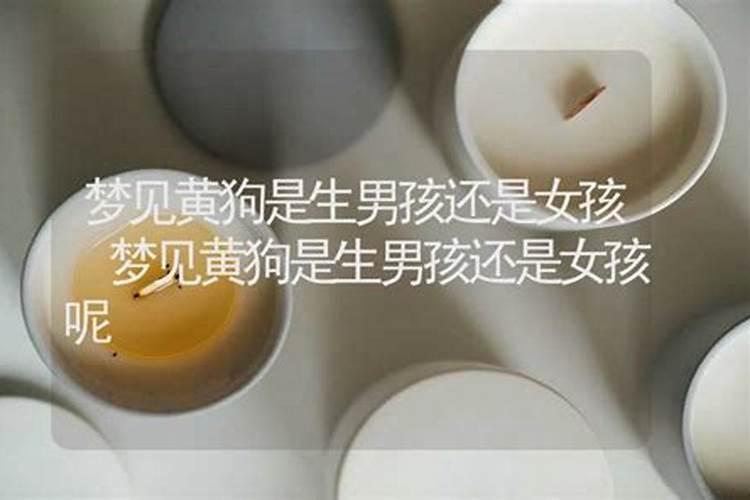 胎梦梦见狗什么意思