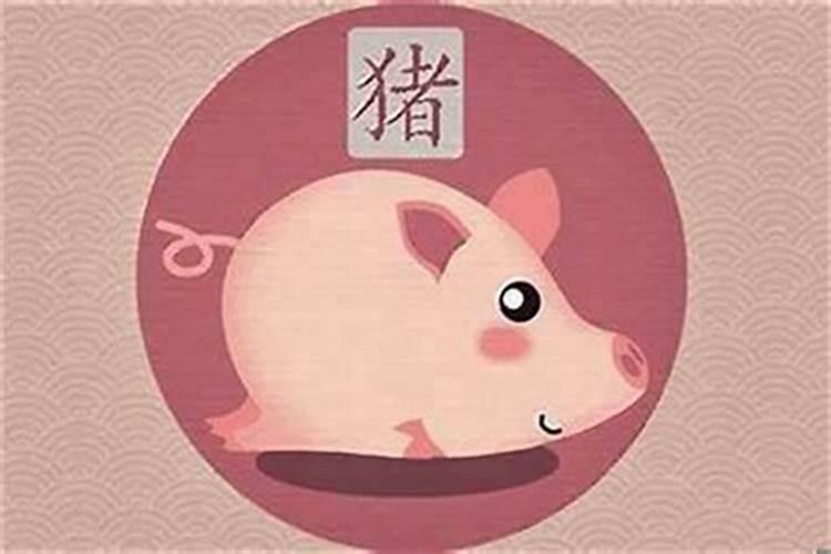为什么七月的猪是犯月属猪几月是犯月