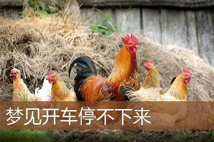 属蛇男婚配哪个属相最好,男属蛇的最佳婚配表