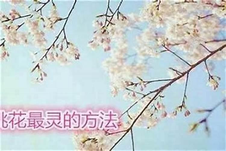 女人怎么斩断自己的烂桃花