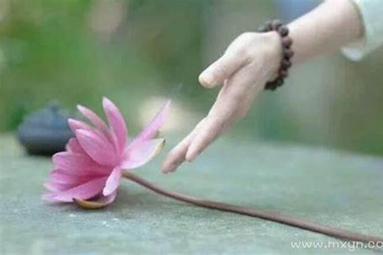各地中秋节的由来和习俗