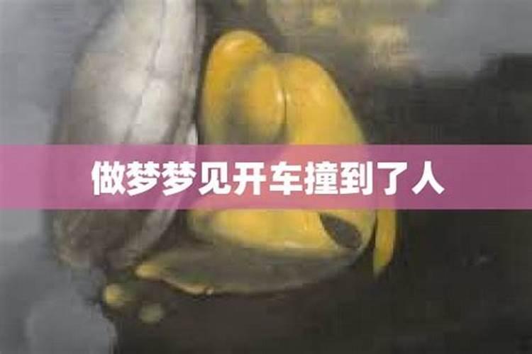 属猪申时出生的男孩 女孩命运怎么样