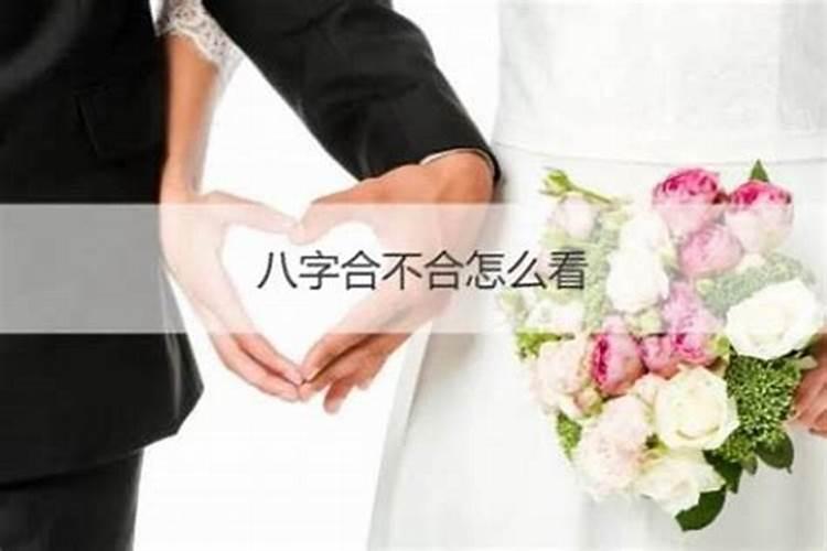 八字合婚怎么看合与不合