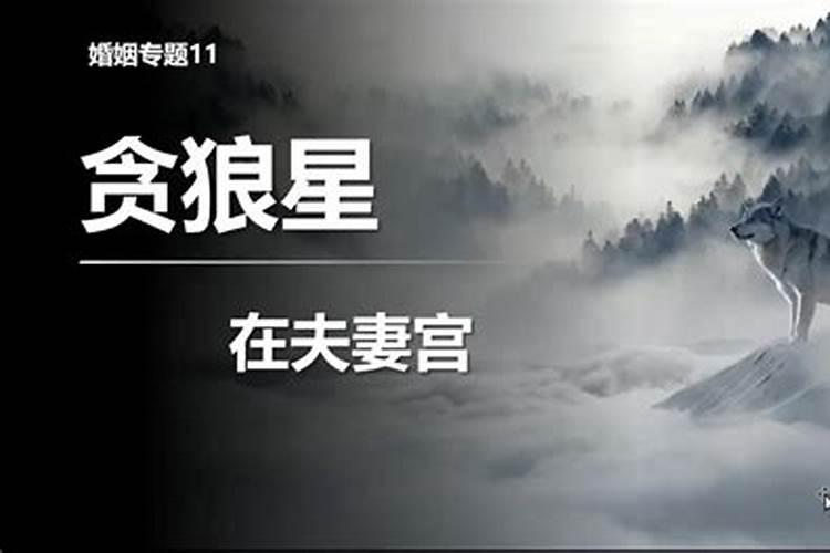 夫妻宫有武曲贪狼的紫薇命盘好不好？