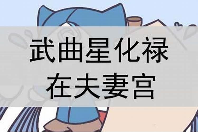 夫妻宫 武曲贪狼化忌