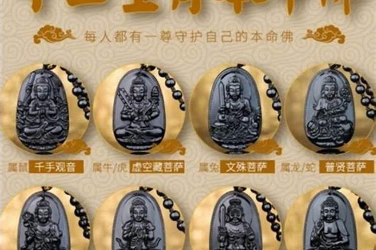 十二生肖对应的本命佛