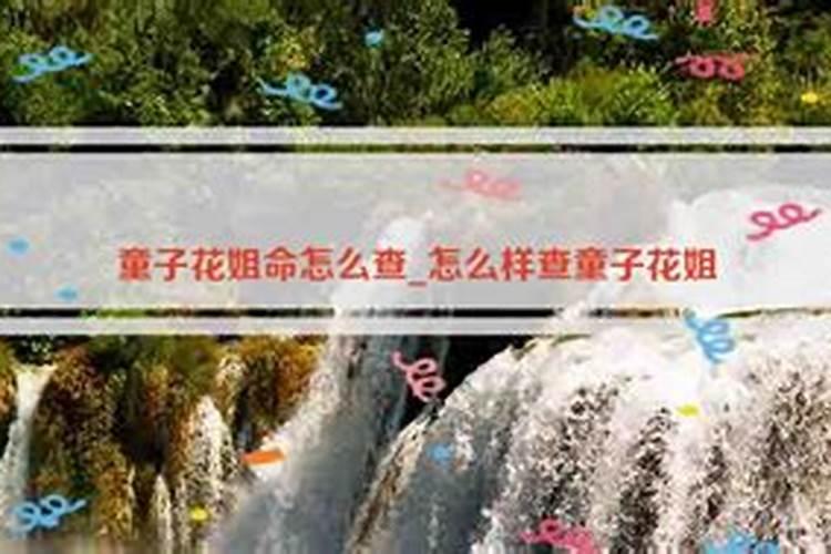 童子花姐最简单的查法