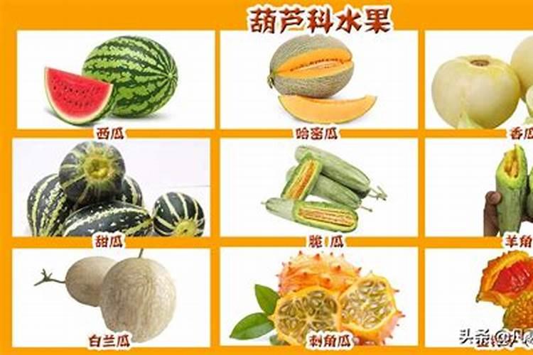 立冬必吃三种水果