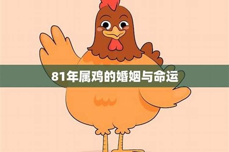 81年属鸡人一生三大坎