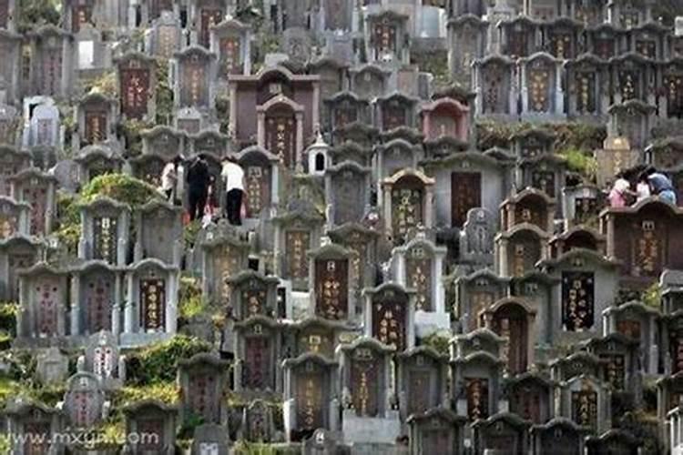 梦见死人说坟地进水了