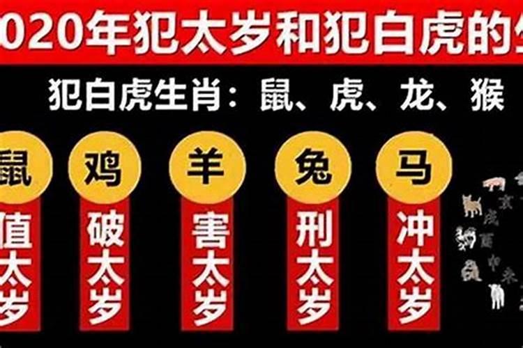 2025年犯太岁的5个属相