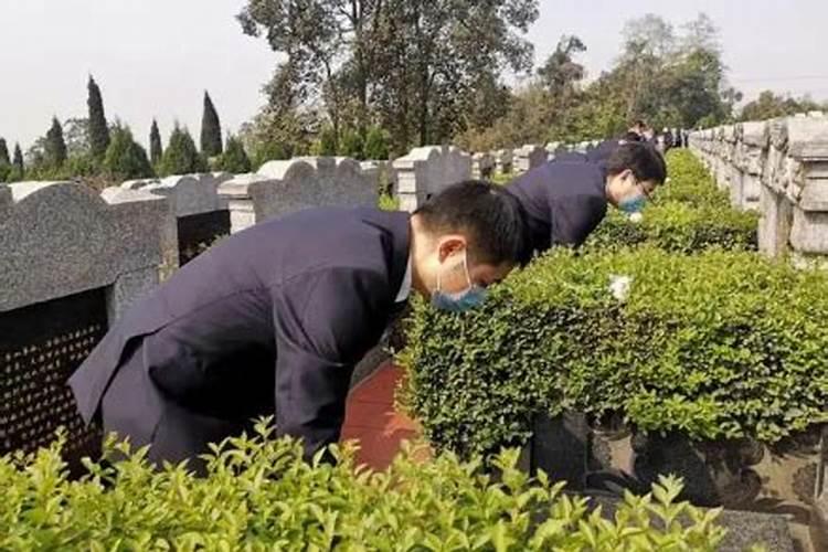 宝山公墓需要预约吗