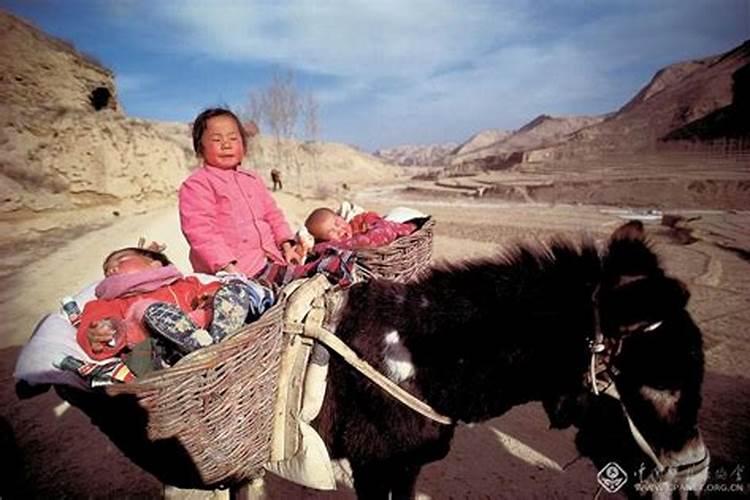 属猪犯太岁怎么化解