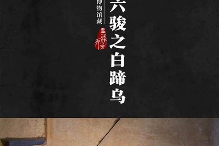 1971年属猪11月8日(农历)巳时出生的五行缺什么呢？