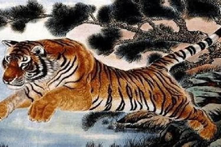 属虎的与属鸡的配吗