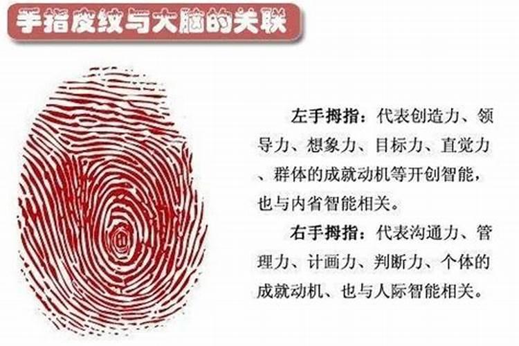 属兔和什么属相不合如何化解
