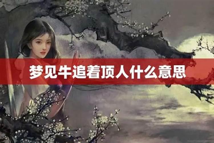 (摆放忌讳)文昌塔摆件是九层还是十三层好