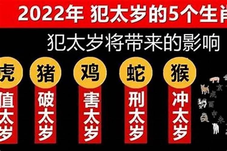 2025属蛇破太岁最佳方法