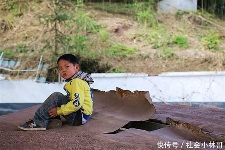 十二属相与楼层的选择属相与住房楼层风水西户适合住的生肖