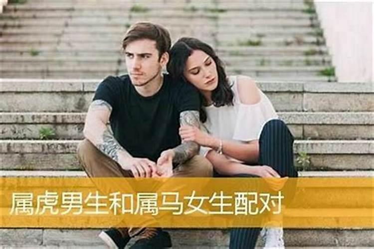 2025属龙犯太岁吗