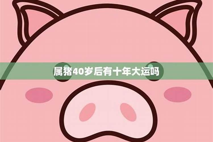 1983年属猪女士[42岁]2025年运势全揭晓,看看每个月该如何规划
