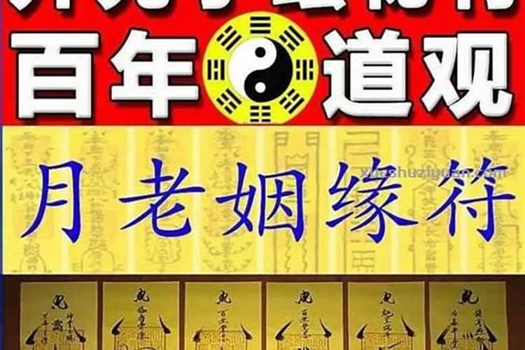 适合种在坟上的花草
