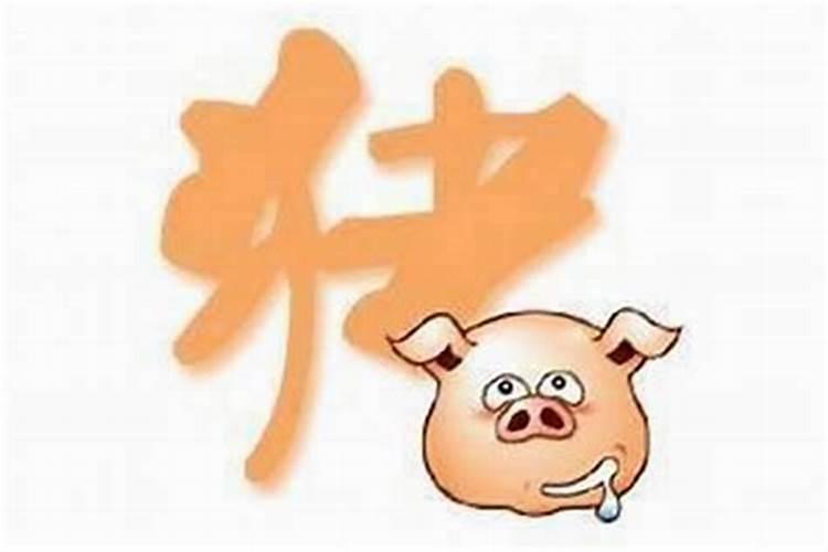 1971年属猪人一生的运势如何