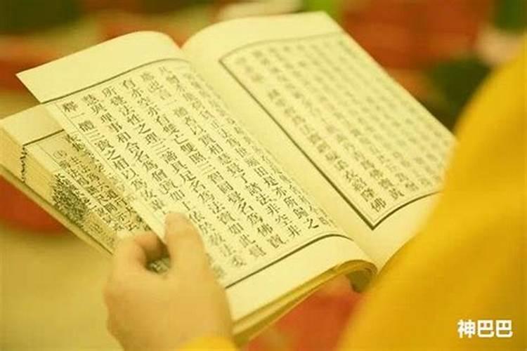 懂玄学的请进。曾有个仙娘说我是峨眉山的童子(最好懂周易,算命看相的进...