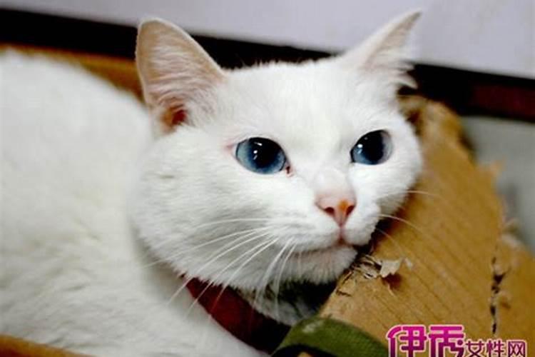 时辰不合可以结婚吗,两个人时辰相冲能在一起吗？