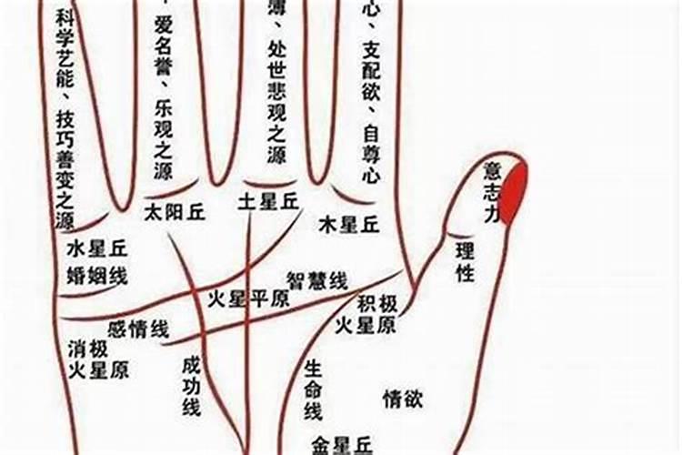 漏财的手相该怎么去补救回来