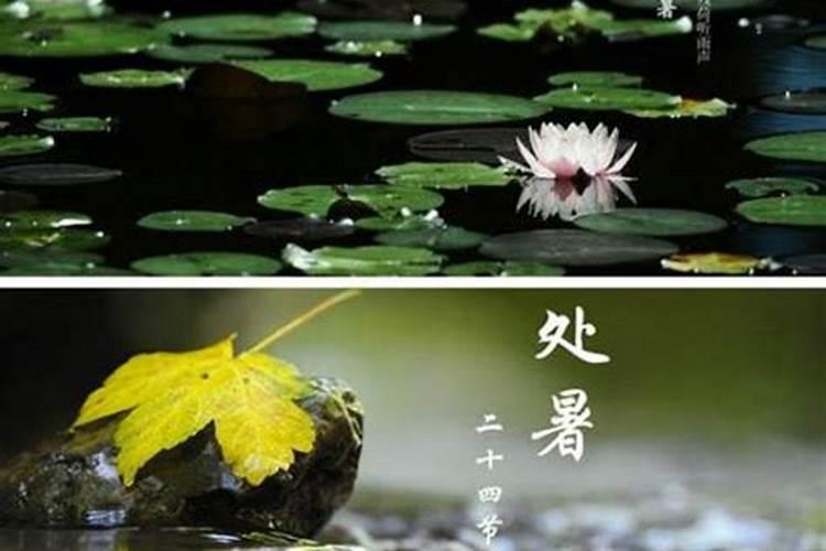 处暑和立秋哪个在前处暑和立秋哪个早一些