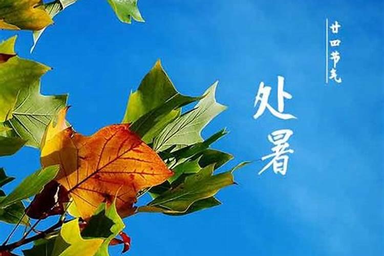 小暑、大暑、立秋和处暑分别在什么时间又代表什么？