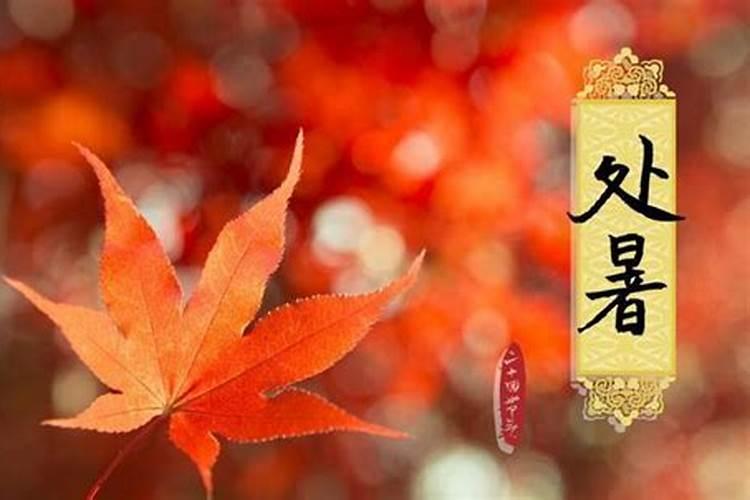 处暑和立秋哪个早 处暑在立秋前还是后今日头条