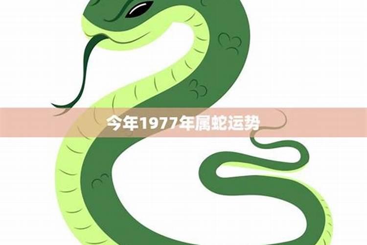 八字特别格局从弱格