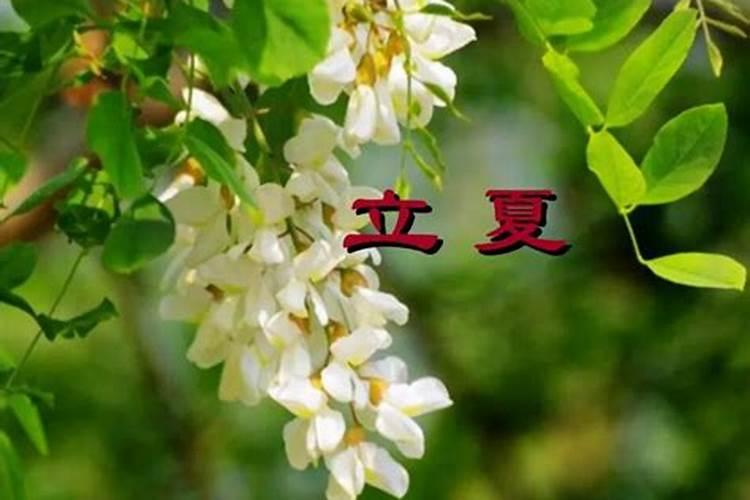 佛学的经典语录