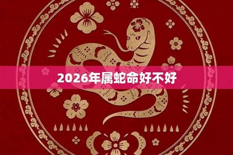 2013年属蛇的在冬至那天出生的孩子运程如何啊？会不好吗？