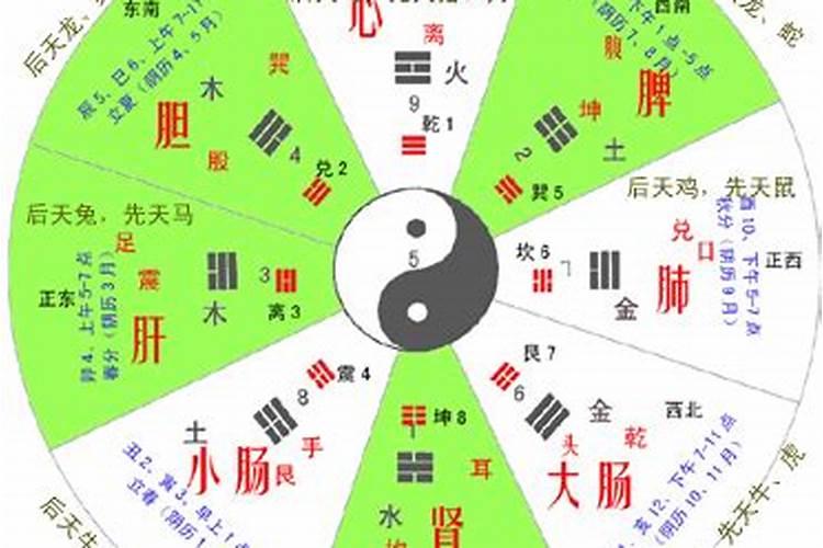 洛克王国秘法药剂活动攻略