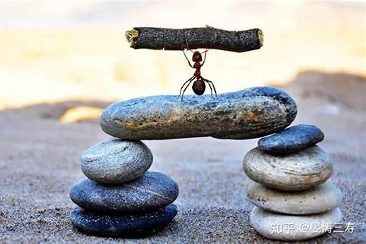 事业运气不好该怎么化解对于家庭布局需要注意？