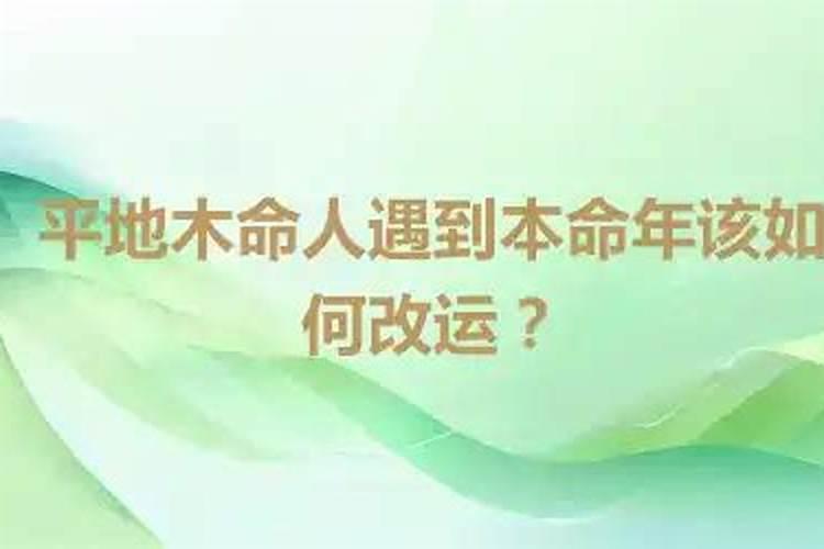 平地木命是什么意思