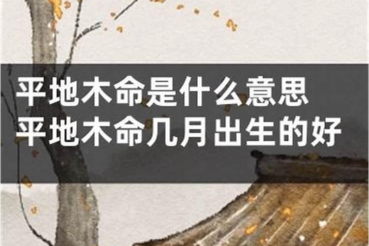 为什么平地木命人是七杀格呢？