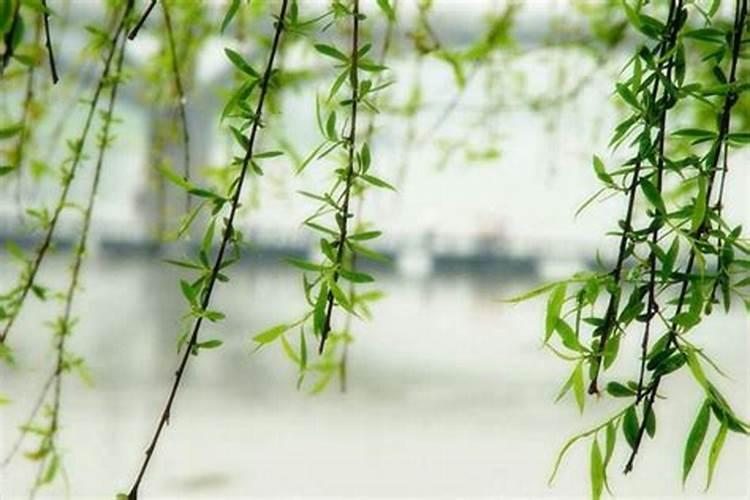 2021年属羊冲太岁怎么化解,牛年生肖羊犯太岁佩戴什么好