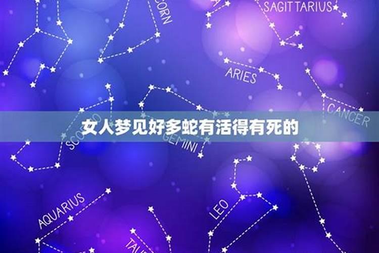属蛇的今年多大