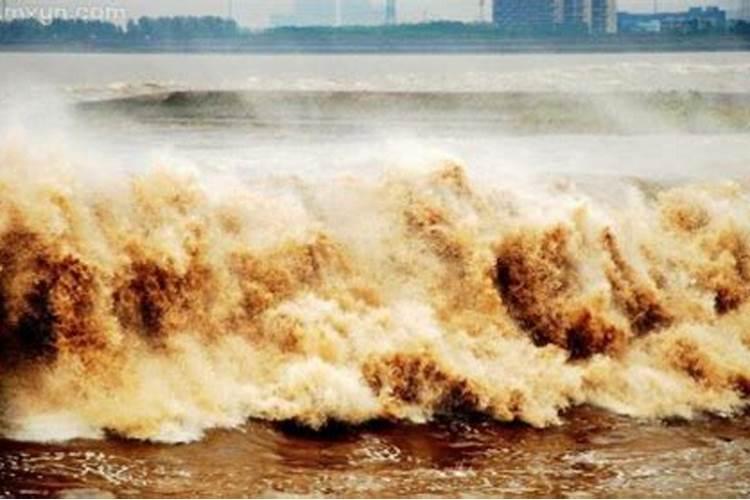 梦见大水从自己扑来的预兆