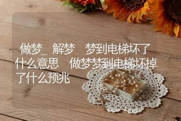 梦见小白马马蹄受伤了