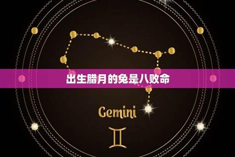 梦见黑色大蛇爬身上
