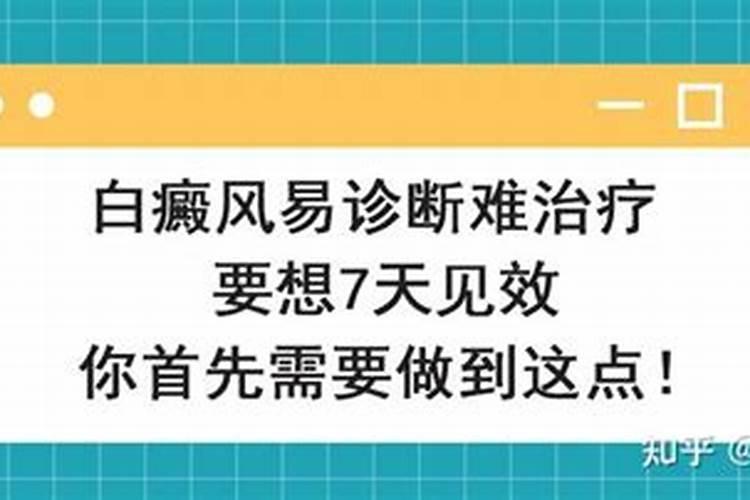 1977年属蛇人2024年运势及每月运程