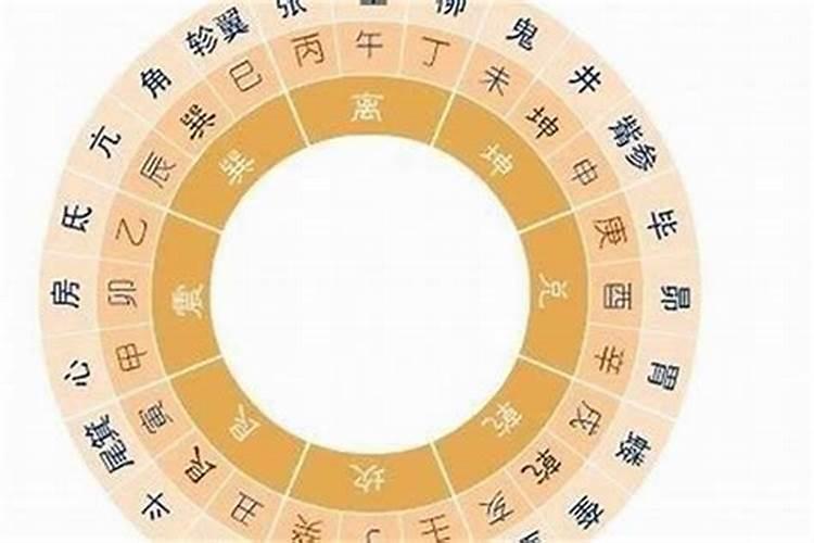 合婚看八字还是属相看八字