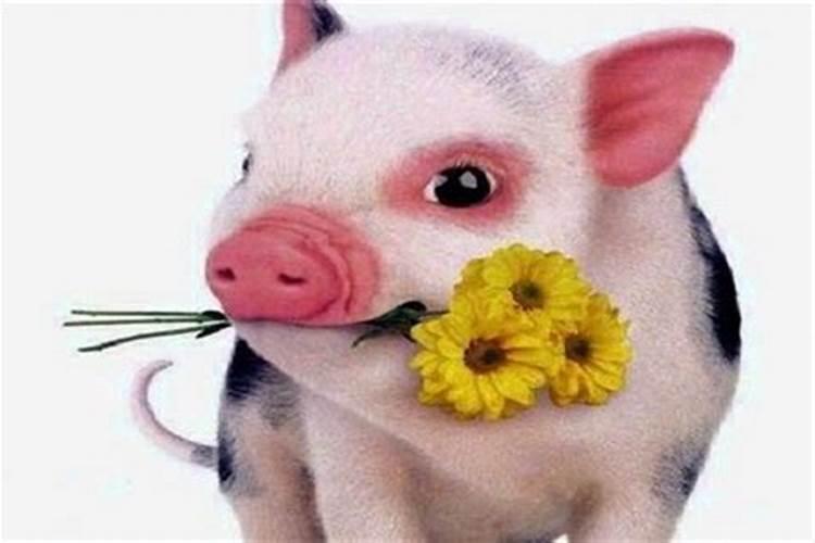 腊八粥的资料 腊八粥的资料简介